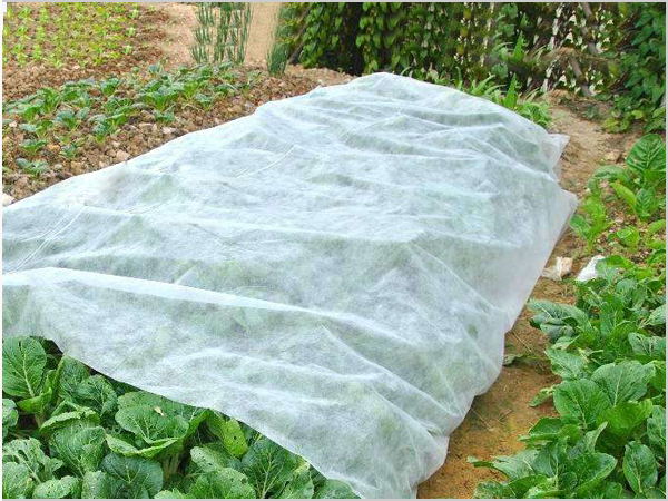 Breathable thermal insulation non-woven fabric application of agricultural non-woven fabric price of agricultural non-woven fabric types of agricultural non-woven fabric Xiangshuo professional agricultural non-woven fabric manufacturer 