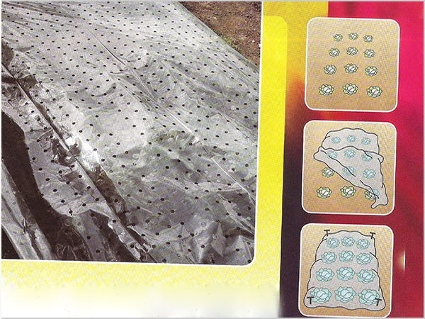 Non-woven breathable film non-woven outdoor products Xiangshuo non-woven breathable film main use classification of breathable film