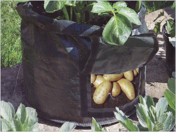 PE gardening planting bags types and uses of non-woven fabric products non-woven planting bags outdoor products non-woven fabrics Xiangshuo non-woven fabrics 