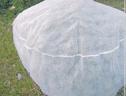 Agricultural non-woven fabric tree cover use method of non-woven fabric tree cover Xiangshuo agricultural non-woven fabric application of agricultural non-woven fabric